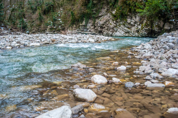 A tranquil river flows through smooth pebbles and rocks, surrounded by lush greenery. Sunlight illuminates the water, creating a serene atmosphere.