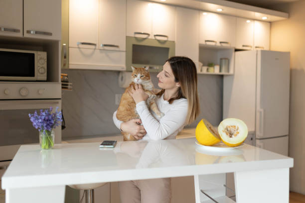 istock The woman is holding her old ginger cat while standing in the kitchen. 2205025087