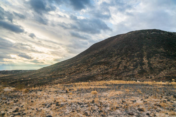 View From the Base of Amboy Crater on a Spring Morning