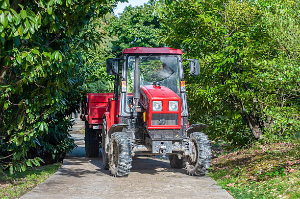 A red tractor moves along a tree-lined path in the countryside, surrounded by vibrant green foliage on a clear, sunny day, showcasing rural farming life.