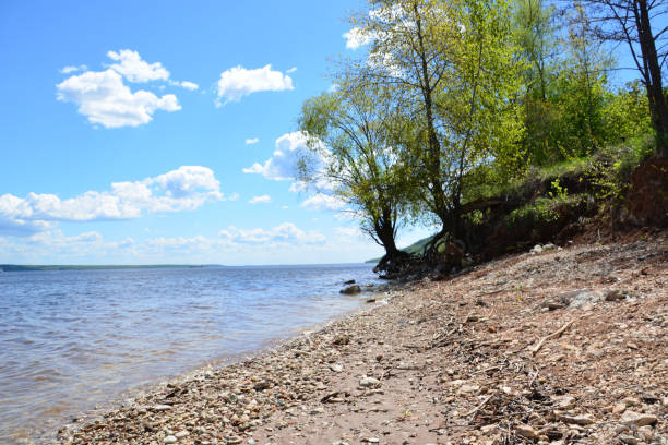 Scenic summer day at the beach with blue sky and trees