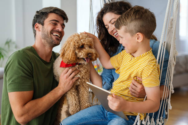 istock Parents with kid having fun online with application watching video cartoon or playing game on tablet 2205033037