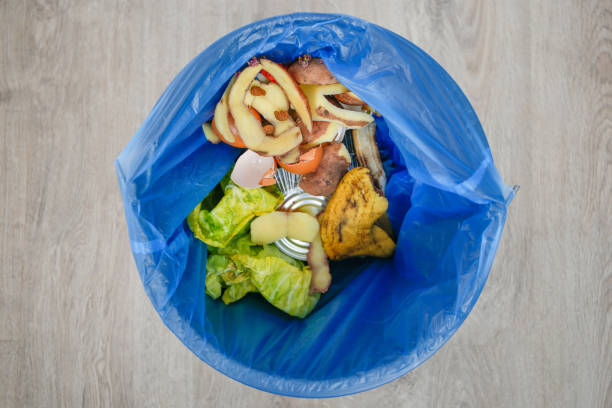 istock Various household waste in the trash can. 2205033886