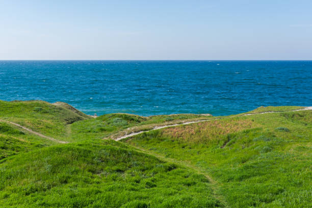 Blue sea green grass. Serene atmospheric summer background. Blue clear sky, bright green grass grows on the shore. The concept of relaxation, vacation ssolitude. A picturesque sea beach without people