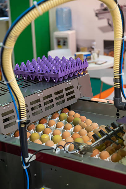 Egg sorting machine operates at agricultural expo with vibrant setup