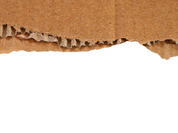 istock Pieces of torn or cut brown cardboard isolated design element on transparent background. 2205041844