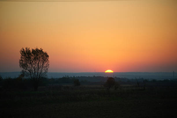 Sun sets on horizon, casting warm orange and pink glow across sky. Solitary tree stands silhouetted against colorful backdrop, while the landscape fades into gentle twilight.