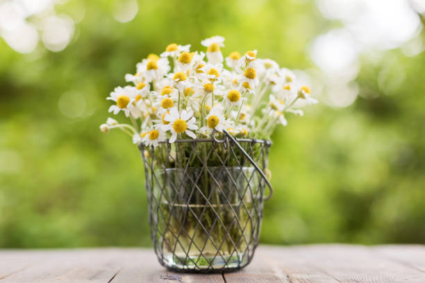 istock Bouquet of daisy flowers 2205047974