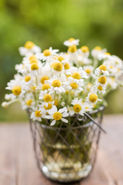 istock Bouquet of daisy flowers 2205047984