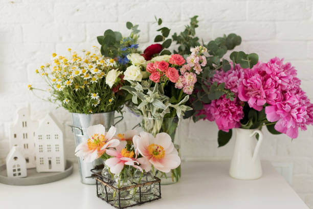 istock Flowers in vases indoors 2205048235