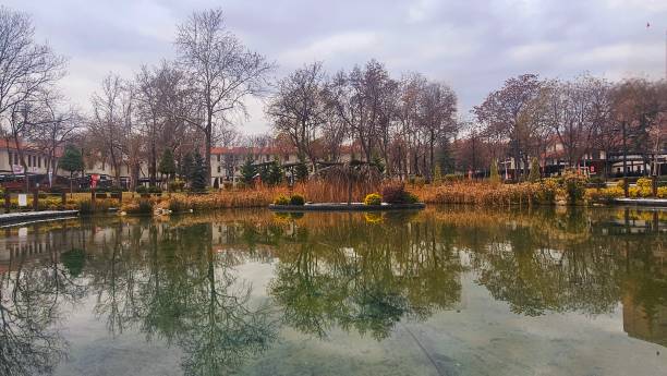 istock Tree reflections in a lake in autumn. 2205050441
