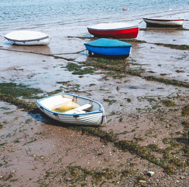 Colorful boats rest on a sandy beach during low tide, with seaweed scattered across the wet sand.