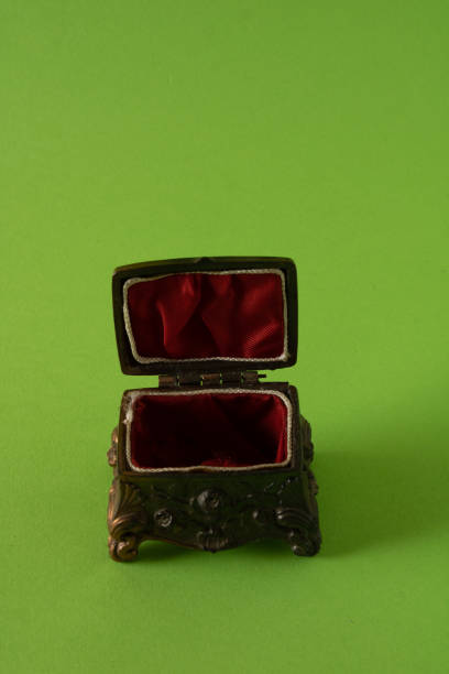 Treasure chest left in the green grass