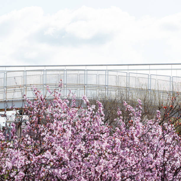 istock Metal bridge with flowers 2205054793