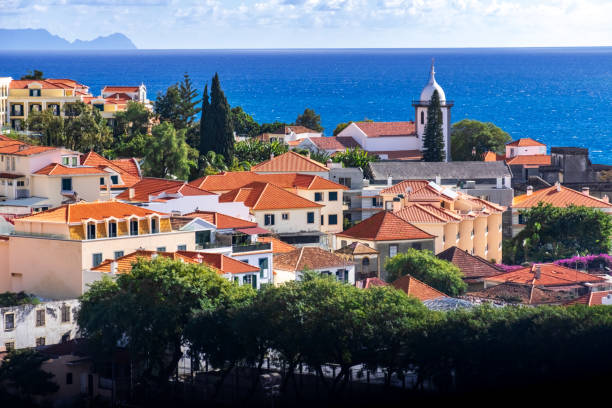 istock Funchal Cityscape, Madeira, Portugal 2205055193