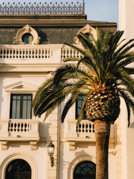 istock Large palm tree partially shading an elegant white building featuring balconies and a decorative metal element adorning the roof, creating a picturesque tropical scene under the sunny sky 2205055634