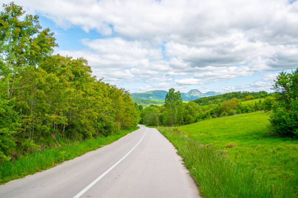 istock Empty asphalt road through the green trees and hills 2205055809