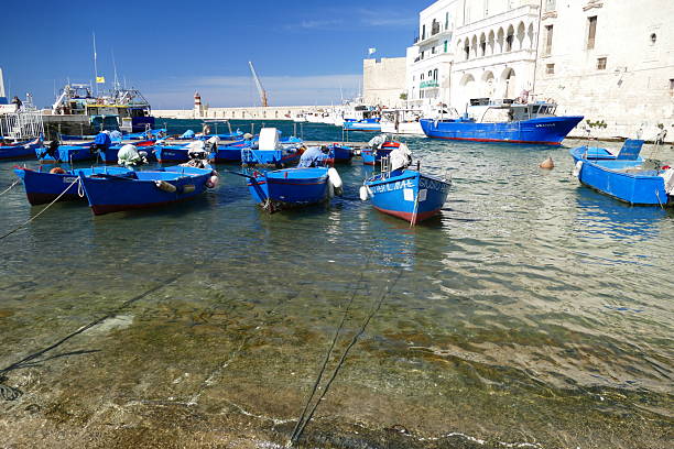 The boat dock in the town of Polignano a Mare. Many blue fishing boats are moored to the shore, and in the background you can see the white port buildings.