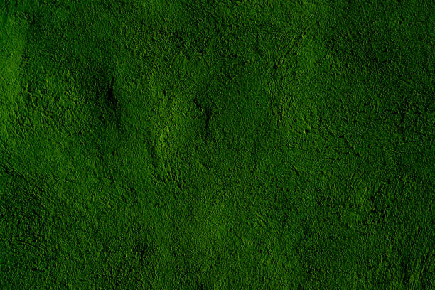 Textured green surface with vibrant natural tones, ideal for backgrounds or artistic designs.