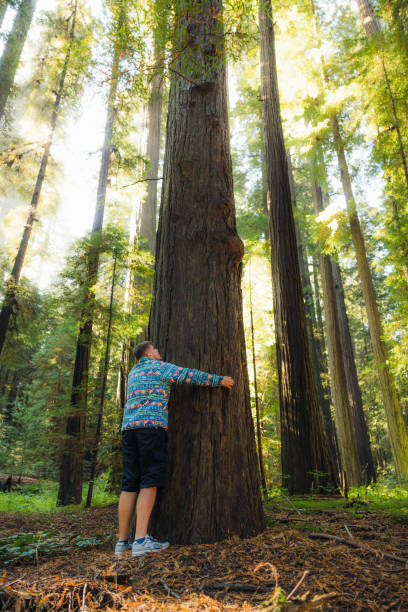 istock In Harmony With Mother Nature 2205066916