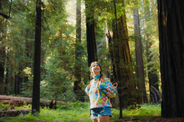 istock Smiling Traveller with Backpack Walking in Redwood Forest During Sunrise 2205067013