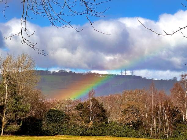 istock The end of a rainbow over trees with cloudscape and blue sky in County Durham 2205075015