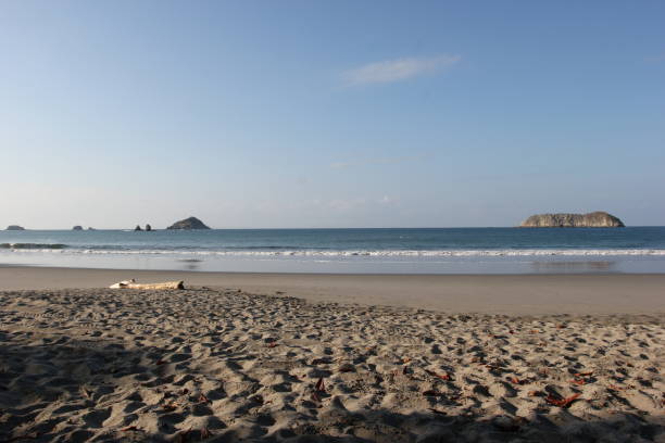 istock Costa Rica - Beach - Log in the Sand 2205077659