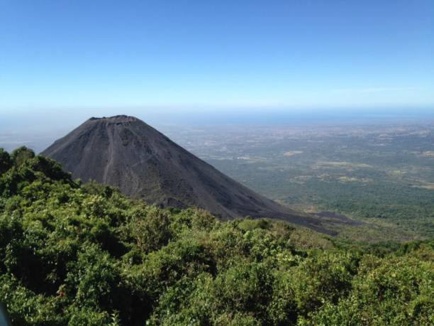 istock Nature in Central America 2205079517
