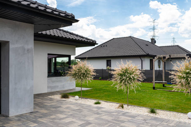 istock A hakuro willow growing on a modern property between small stones and the driveway. 2205081842