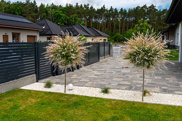istock A hakuro willow growing on a modern property between small stones and the driveway. 2205081858