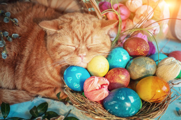 istock Cute ginger cat lying near basket with colorful easter eggs 2205082575