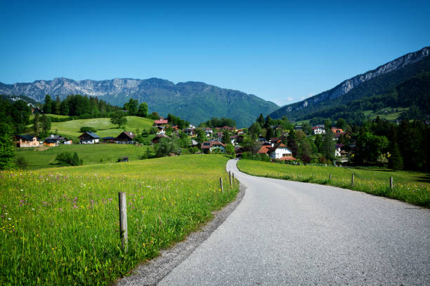 istock Rapsfeld at the Alps in spring time 2205083234