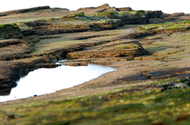 tranquil seascape