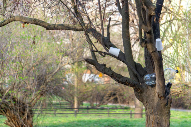 istock plastic cups hung on tree branches in the forest after homeless people consumed alcohol in a public place. 2205083753