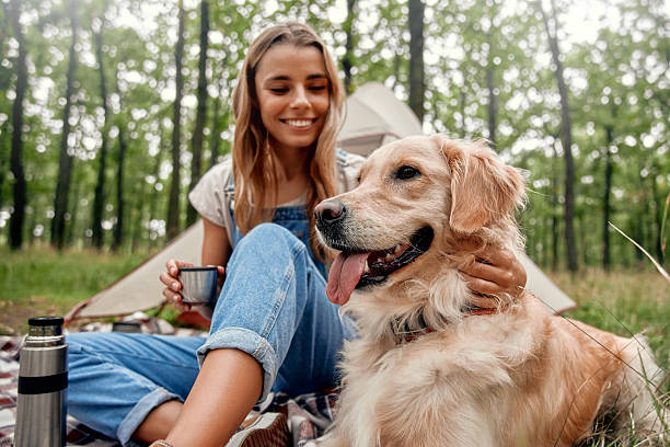 Delightful Camping Adventures Young Girl and Her Golden Retriever Enjoying Nature Together