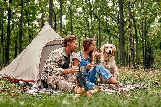 istock A couple enjoying a delightful camping experience with their dog in a gorgeous forest setting 2205085032