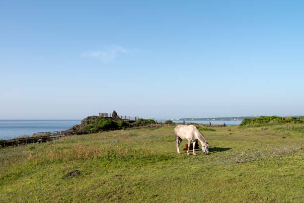 idyllic seascape