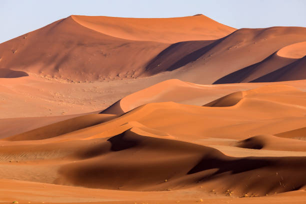 istock Giant sand dunes of Sossusvlei, Namibia 2205088231