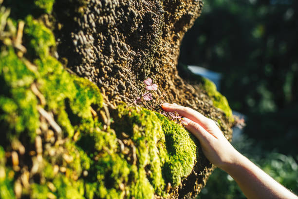 Young woman enjoying nature in summer