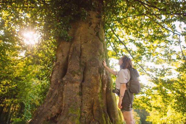 istock Young woman enjoying nature in summer 2205089185