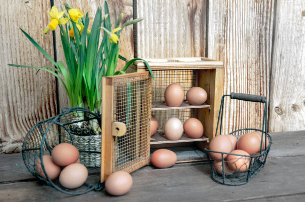 istock chicken eggs  in little metal baskets and a decorative box on a table with a  daffodils  flowers potted on a wooden wall 2205089678