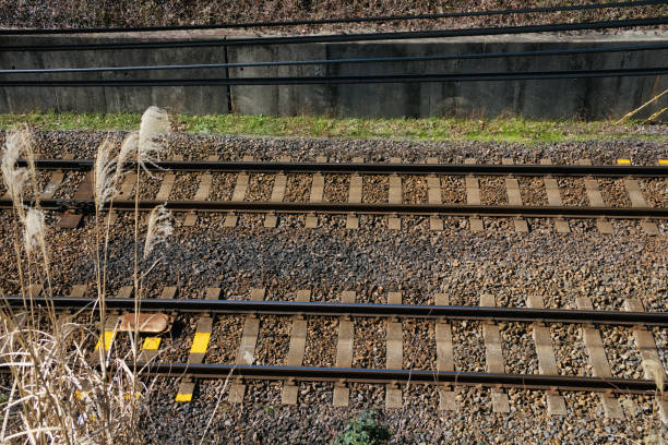 Historische Lokomotiven mit einem Lokschuppen im Ruhrgebiet