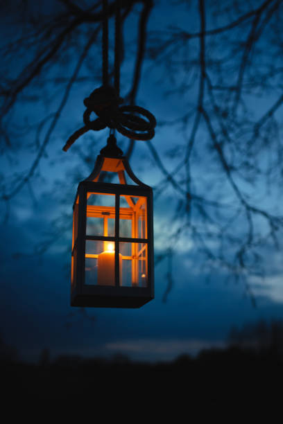 istock Glowing Lantern Hanging from a Tree Branch at Twilight Against a Dark Sky 2205091548