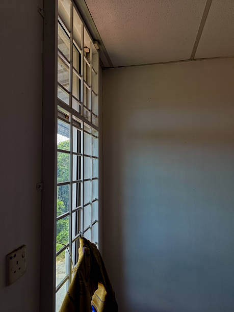 istock The image shows a window with an insect screen. 2205093203