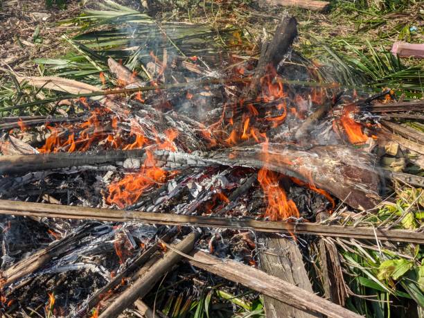 istock Burning debris in a clearing, showcasing a rustic outdoor fire. 2205094779