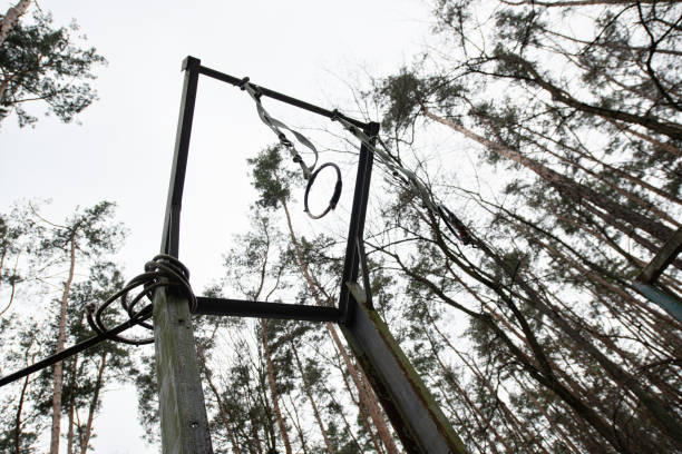 A sports ground showcases a training simulator surrounded by towering trees. This outdoor setup provides an excellent venue for physical training and skill development.