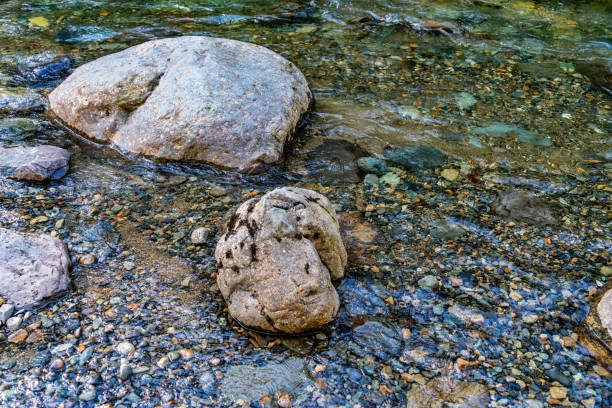 A detail view of the Snoqualmie River near Twin Falls in Washington State.