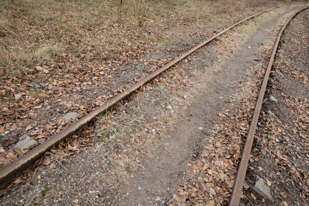 Rusty railway tracks meander through a landscape blanketed with fallen leaves, showcasing nature reclaiming a forgotten pathway in a tranquil rural setting.