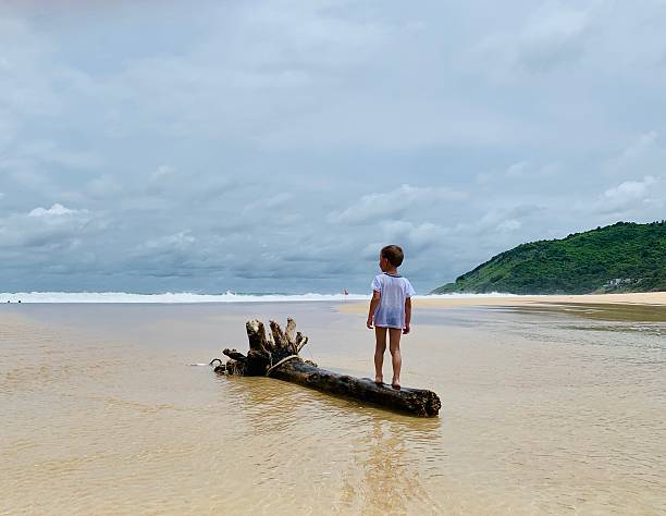The little boy stands on a log on the sandy beach of an uninhabited island