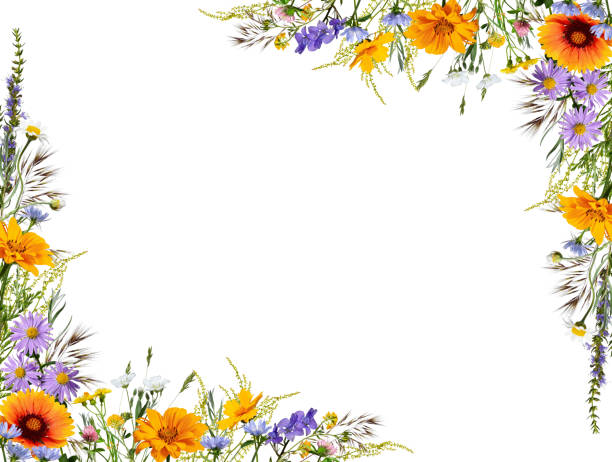 Design element for creating cards, frames, invitations, floral designs.